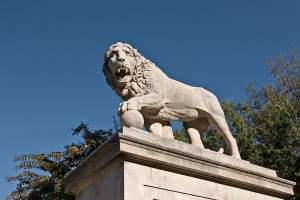 lion statue at art museum